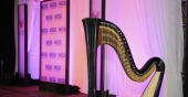 5-side-shot-harp-dinner-28th-sept